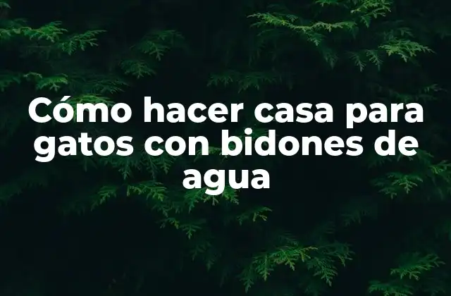 Cómo Hacer Casa para Gatos con Bidones de Agua