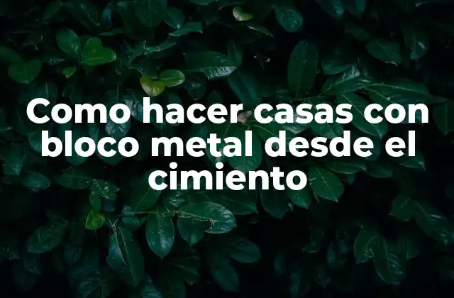 Como Hacer Casas con Bloco Metal desde el Cimiento