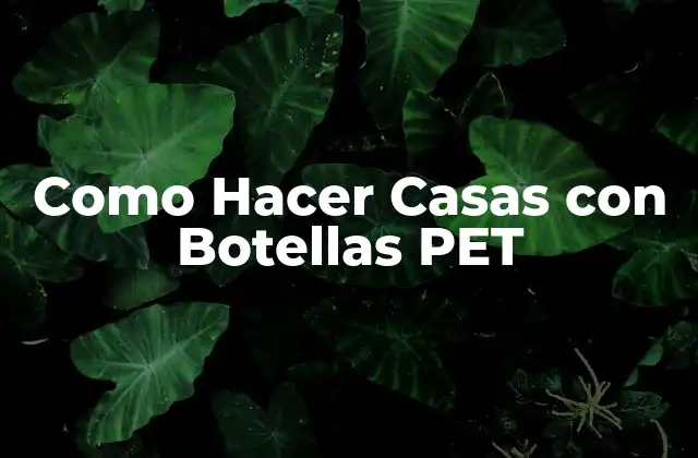 Como Hacer Casas con Botellas Pet