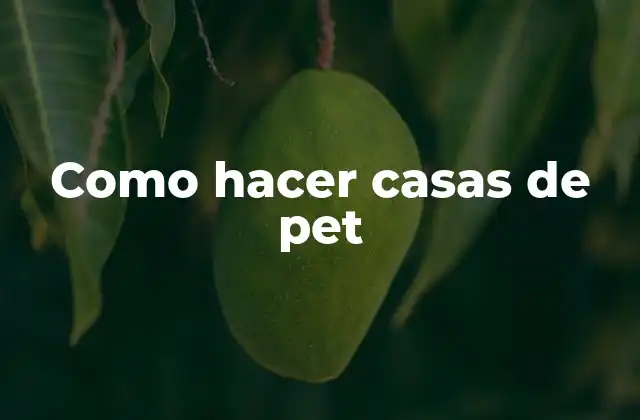 Como Hacer Casas de Pet