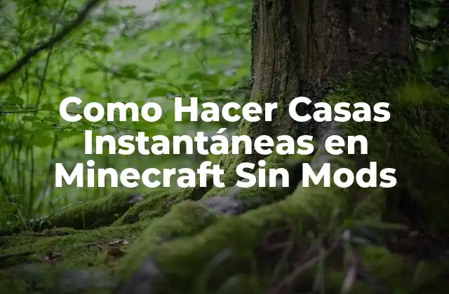 Como Hacer Casas Instantáneas en Minecraft sin Mods