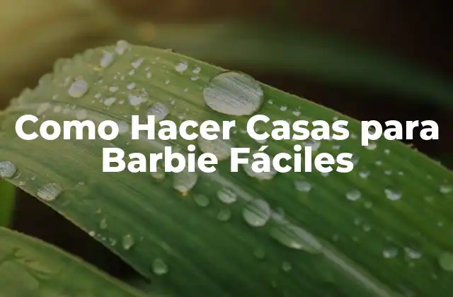 Como Hacer Casas para Barbie Fáciles