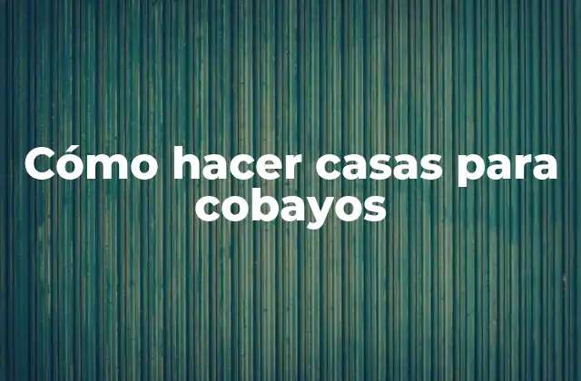 Cómo Hacer Casas para Cobayos