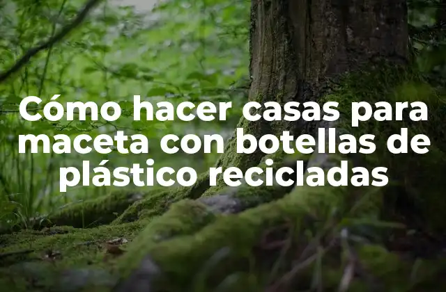 Cómo Hacer Casas para Maceta con Botellas de Plástico Recicladas 2 Cómo hacer casas para maceta con botellas de plástico recicladas