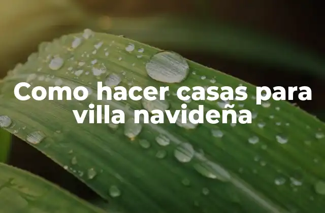 Como Hacer Casas para Villa Navideña