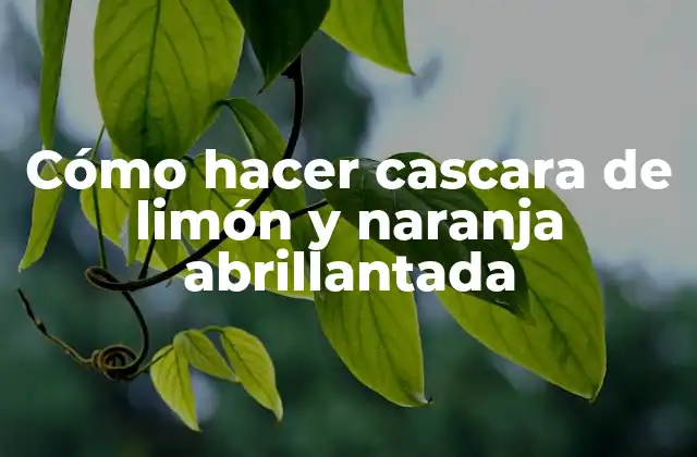 Cómo Hacer Cascara de Limón y Naranja Abrillantada