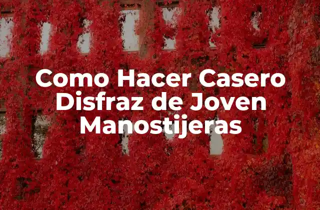 Como Hacer Casero Disfraz de Joven Manostijeras 2 ¿Qué es un Disfraz de Joven Manostijeras?