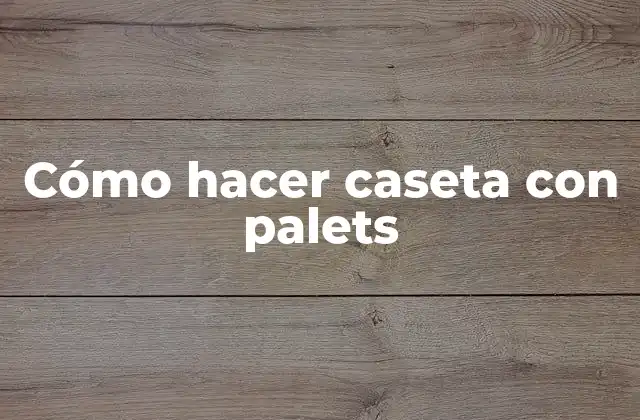 Cómo Hacer Caseta con Palets