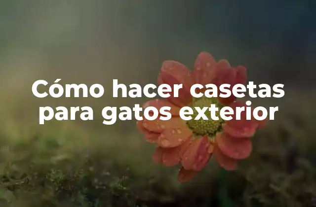Cómo Hacer Casetas para Gatos Exterior