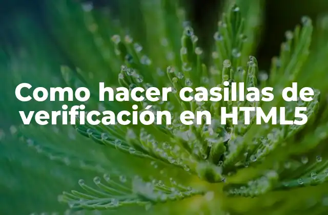 Como Hacer Casillas de Verificación en Html5