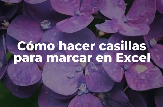 Cómo Hacer Casillas para Marcar en Excel