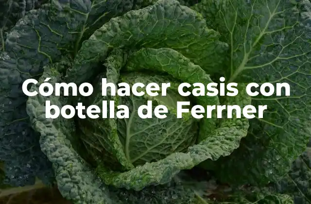 Cómo hacer casis con botella de Ferrner
