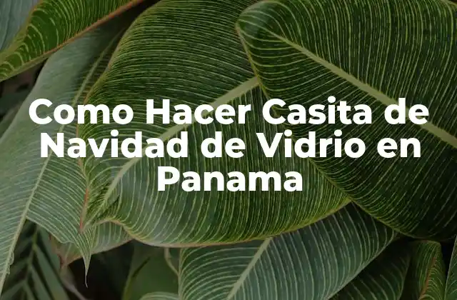 Como Hacer Casita de Navidad de Vidrio en Panama