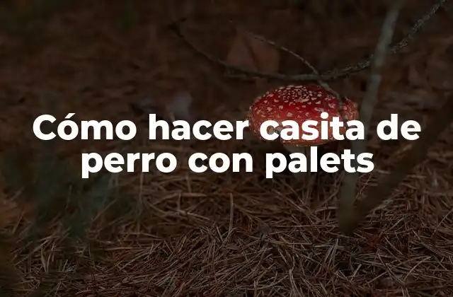 Cómo Hacer Casita de Perro con Palets 2 Casita de perro con palets