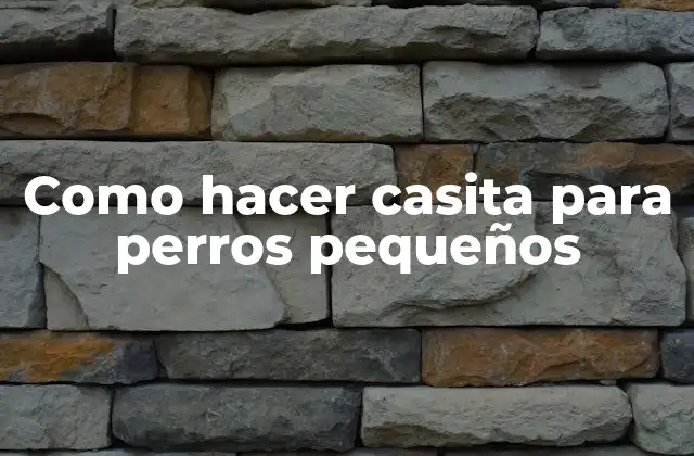 Como Hacer Casita para Perros Pequeños