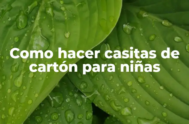 Como Hacer Casitas de Cartón para Niñas