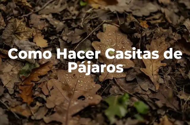 ¿Qué es una Casita de Pájaros y para qué Sirve?