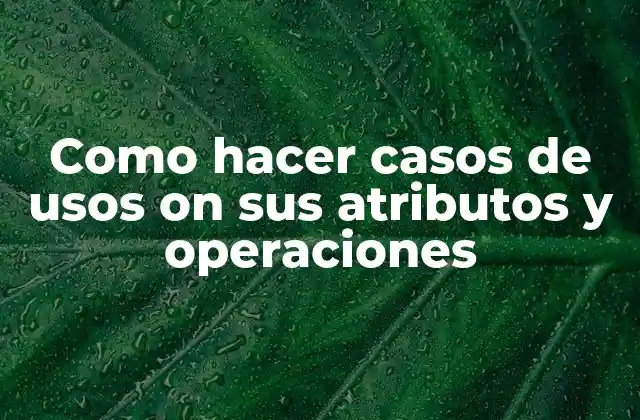 Como Hacer Casos de Usos On Sus Atributos y Operaciones