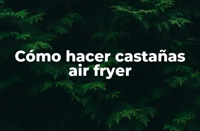 Cómo Hacer Castañas Air Fryer 2 Cómo hacer castañas air fryer