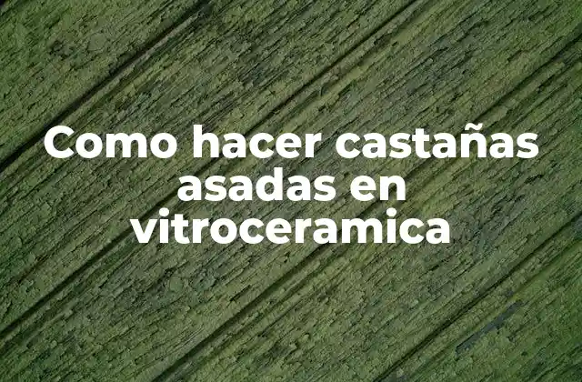 Como Hacer Castañas Asadas en Vitroceramica