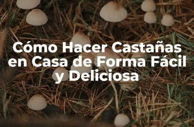 Cómo Hacer Castañas en Casa de Forma Fácil y Deliciosa 2 Ventajas de Hacer Castañas en Casa