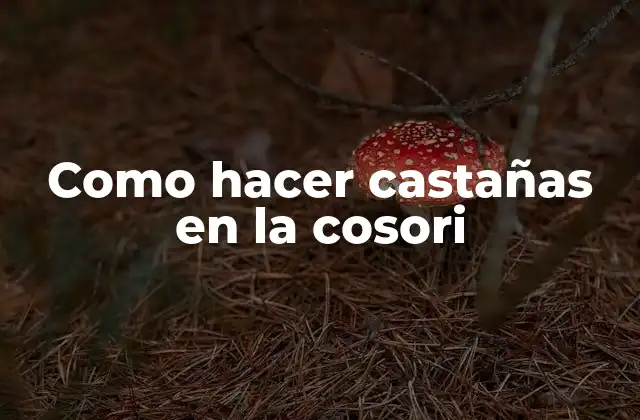 Como Hacer Castañas en la Cosori