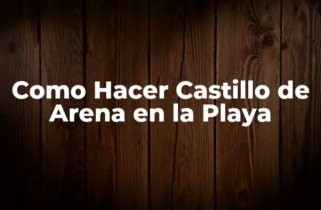 Como Hacer Castillo de Arena en la Playa