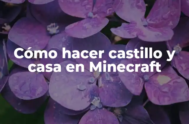 Cómo Hacer Castillo y Casa en Minecraft