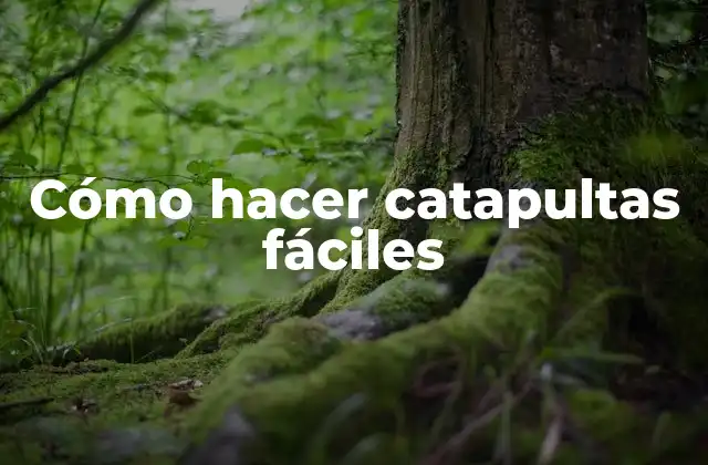 Cómo Hacer Catapultas Fáciles 2 Cómo hacer catapultas fáciles