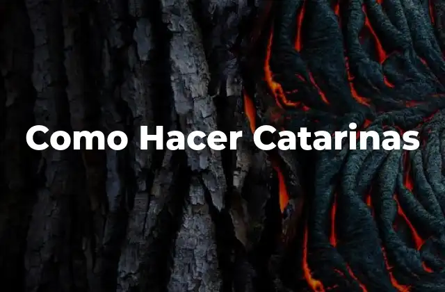 ¿Qué son las Catarinas?