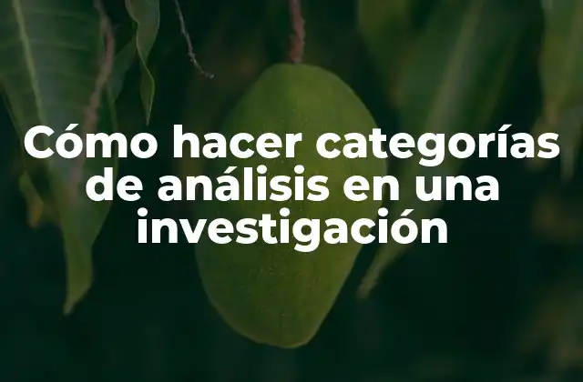 Cómo Hacer Categorías de Análisis en una Investigación