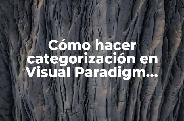 Cómo Hacer Categorización en Visual Paradigm Online