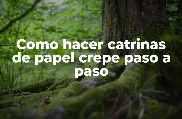 Como Hacer Catrinas de Papel Crepe Paso a Paso