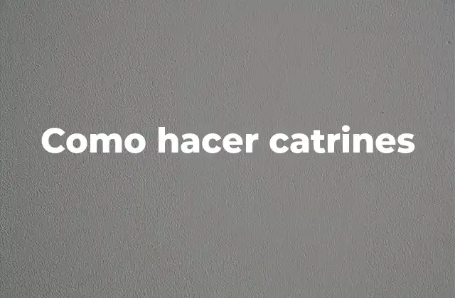 Como Hacer Catrines