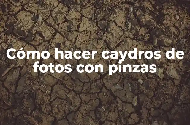 Cómo Hacer Caydros de Fotos con Pinzas