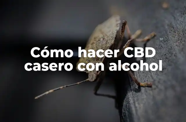 Cómo Hacer Cbd Casero con Alcohol