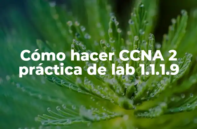 Cómo Hacer Ccna 2 Práctica de Lab 1.1.1.9