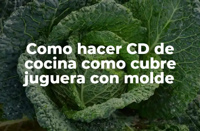 Como Hacer Cd de Cocina como Cubre Juguera con Molde
