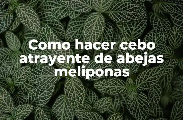 Como Hacer Cebo Atrayente de Abejas Meliponas 2 Cómo hacer cebo atrayente de abejas meliponas