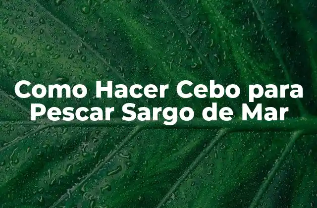 ¿Qué es un Cebo para Pescar Sargo de Mar?