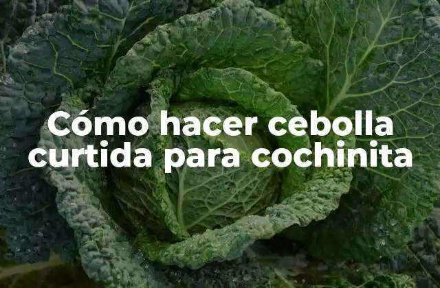Cómo Hacer Cebolla Curtida para Cochinita 2 Cebolla curtida para cochinita, un ingrediente clave