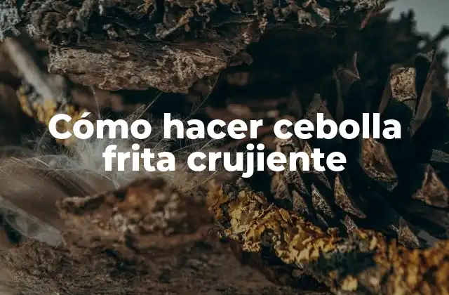 Cómo Hacer Cebolla Frita Crujiente 2 Cebolla frita crujiente, ¿qué es y para qué sirve?
