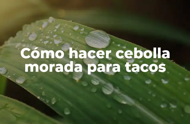 Cómo Hacer Cebolla Morada para Tacos