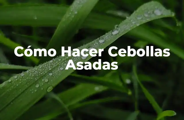 Cómo Hacer Cebollas Asadas