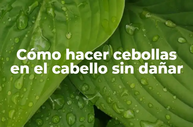 Cómo Hacer Cebollas en el Cabello sin Dañar