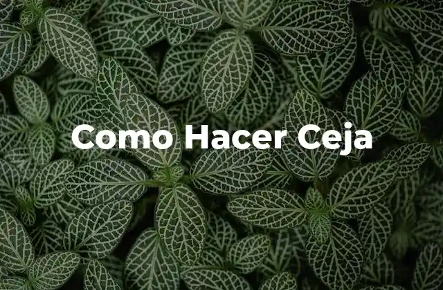 Como Hacer Ceja