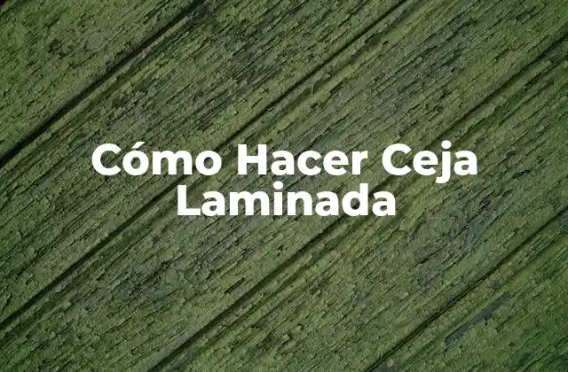 ¿Qué es la Laminación de Cejas?