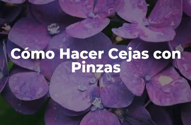 Cómo Hacer Cejas con Pinzas
