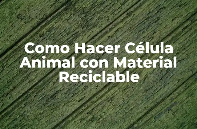 Como Hacer Célula Animal con Material Reciclable