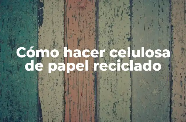 Cómo Hacer Celulosa de Papel Reciclado